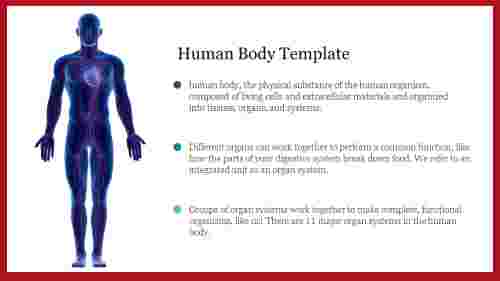 Human Body Template